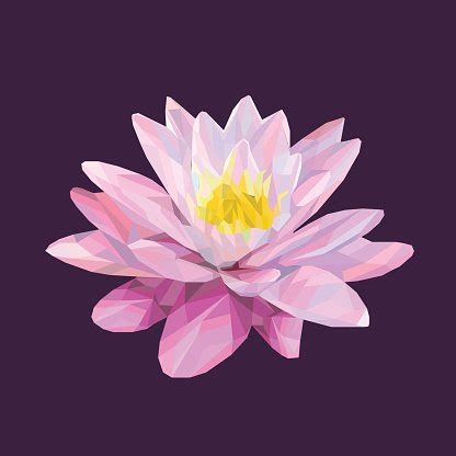Colored Lotus Flower Low Poly Style Stock Clipart Royalty Free