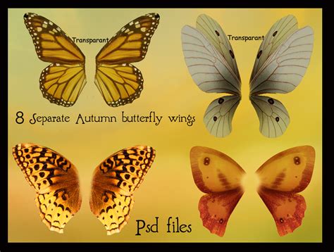 Psd Autumn Butterfly Wings Set By Adaae Stock On Deviantart