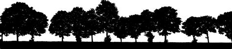 The Best 12 Tree Skyline Png Votasicuro