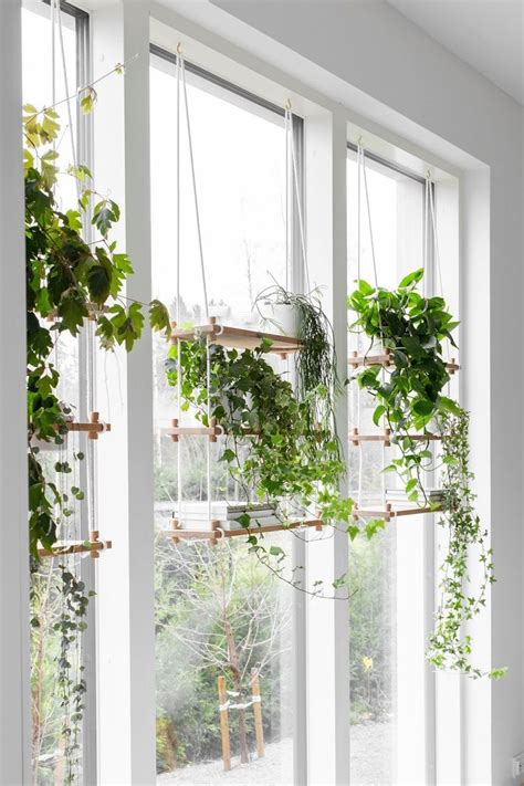 Hanging Plants Outdoors Hangingplantsindoordiy Hanging Plants Indoor