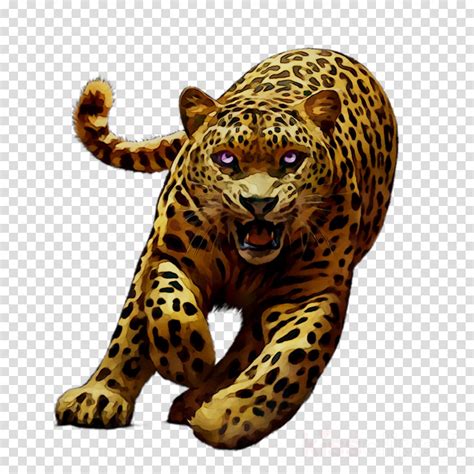 Leopard Clipart Jaguar Animal Leopard Jaguar Animal Transparent Free