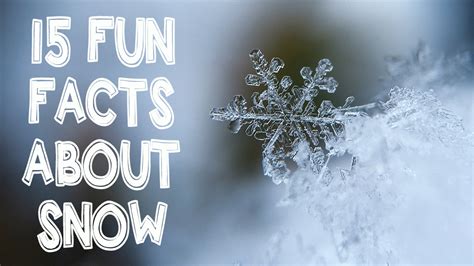 15 Fun Facts About Snow