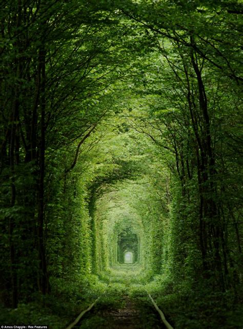 The Tunnel Of Love Med O Med