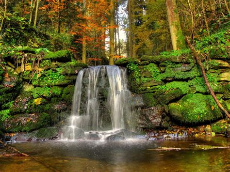 Waterfall Forest Stones Landscape Moss Creek Tree Nature