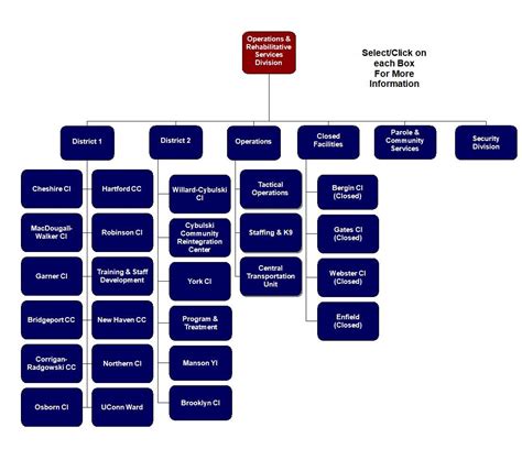 Organizational Chart For Operations