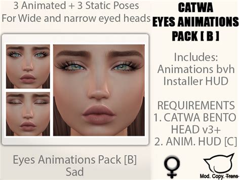 Second Life Marketplace Catwa Anim Female Eyes B