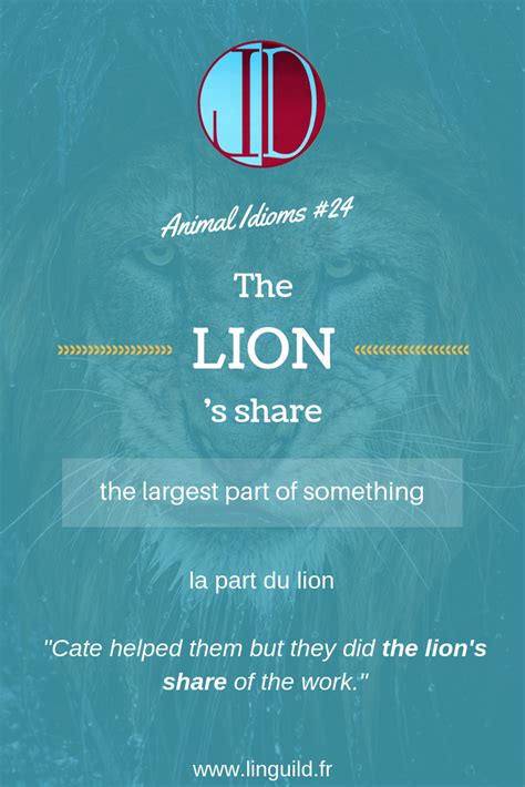 English Animal Idiom The Lions Share 🦁 Apprendre Langlais Comment