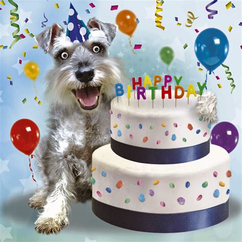 Schnauzer Dog And Cake Birthday Card Mine 3d Goggly Moving Eyes Funny