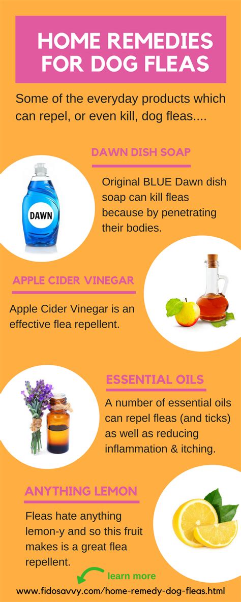 Salt water can kill lice and their eggs. Pin on Household hints