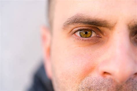 Men With Hazel Eyes Stock Photos Pictures And Royalty Free Images Istock
