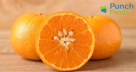 Are Orange Seeds Edible Lets Find Out
