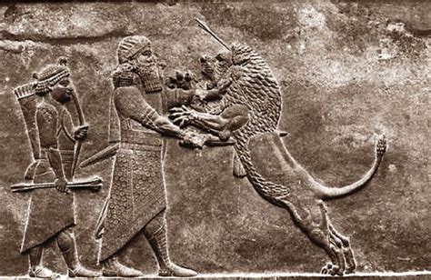Ancient Assyrian Art Relief Of Ashurbanipal Stabbing Lion With Sword