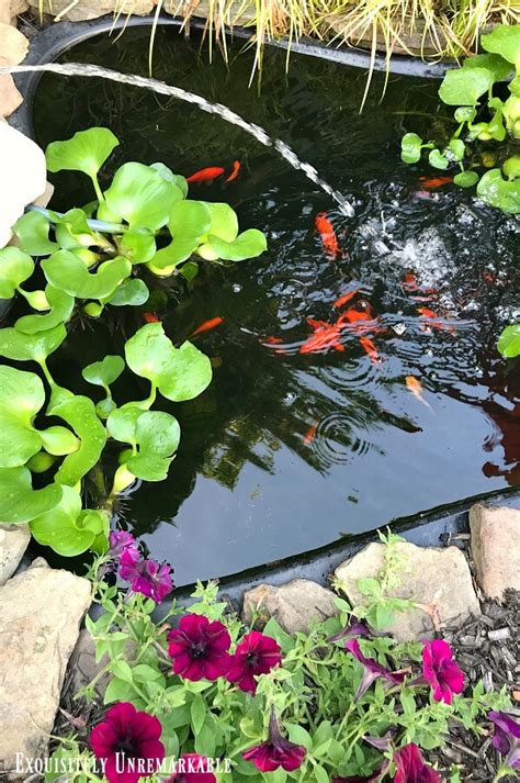 Keeping Pond Water Clean And Clear Without Chemicals Exquisitely