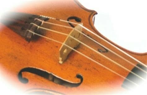 43 Top Images Catgut Classical Strings Best Guitar Strings 2021 A