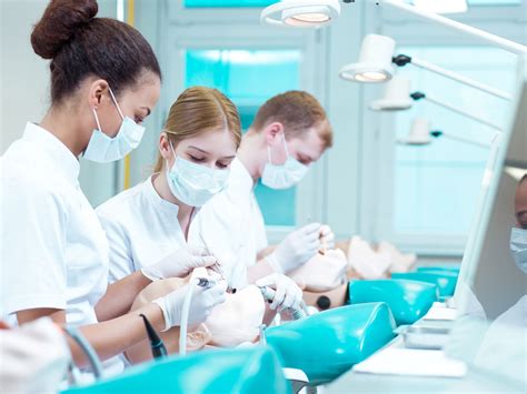 What Undergraduate Degree Is Best For Dental School