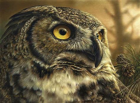 Stunning Wildlife Paintings By Denis Mayer Jr 13 Pics