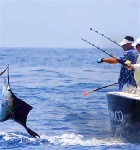 Pesca Deportiva En La Riviera Nayarit El Sitio Ideal El Souvenir