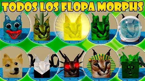 Como Conseguir Las 21 Formas De Floppa Gratis En Find The Floppa Morphs