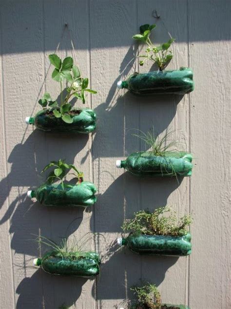 Add plantings, and finish with soil. 2 liter bottle planters | Bottle garden, Plants in bottles ...