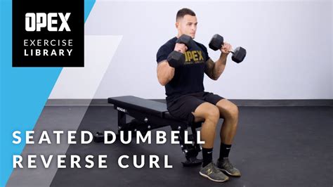 Seated Dumbbell Reverse Curl Opex Exercise Library Youtube