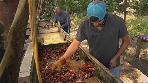 Texas Crawfish Farm Texas Country Reporter Youtube