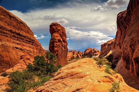 The Rock Formations In Arches National Park Utah Usa Photograph By