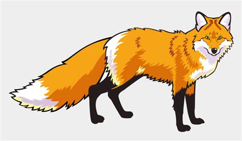 Red Fox Clipart Mammal Лиса На Прозрачном Фоне Cliparts And Cartoons