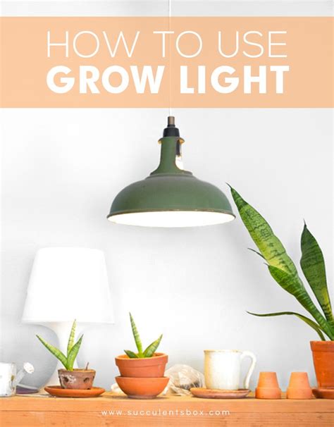 Outdoor pest controls, indoor pest controls, mosquito repellent How to Use Grow Light for Your Indoor Succulents ...