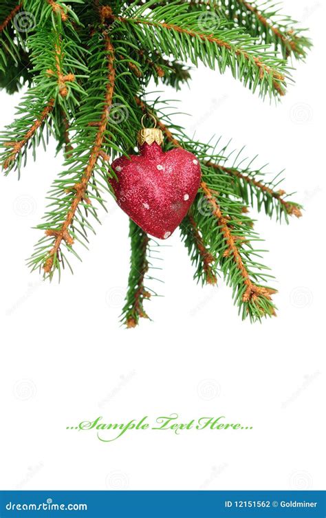 Pine Branches And Christmas Decoration Stock Photo Image Of Close