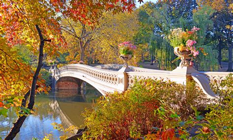 The Best Activities To Do In Central Park New York City Tours