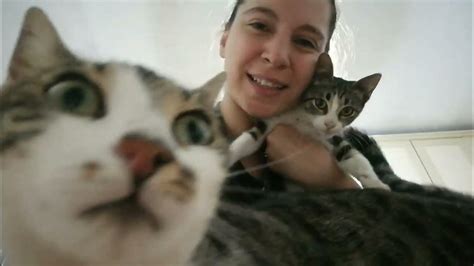 ReÇel Cİndye Annelİk Yapiyor😻😻Çok Tatlilar Ev Vlog Kediler Kedilerindünyası Vlog Youtube