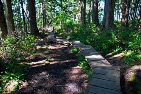 Learn more about offering online ordering to your diners. 7 Amazing Places to Visit in Washington State