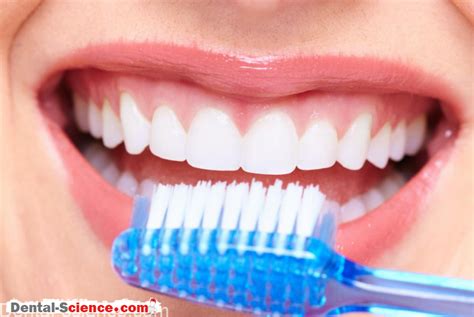 Healthy Gums How To Keep Your Gums Healthy Dental Science