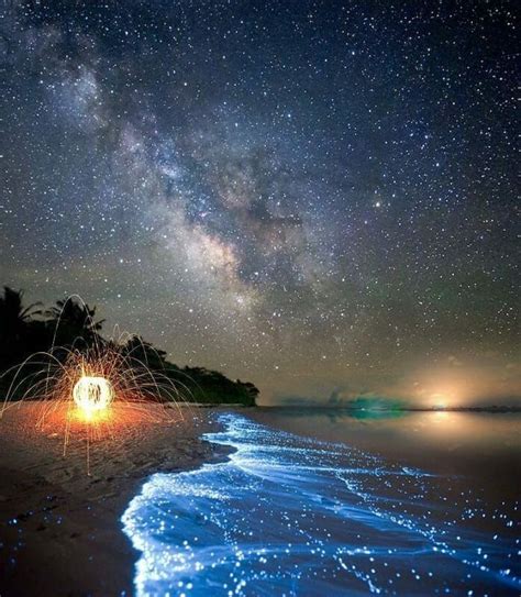 Glowing Sea In Maldives Maldive Resort Island