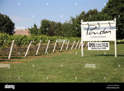 Pindar Vineyard Winery North Fork Long Island New York Usa Stock
