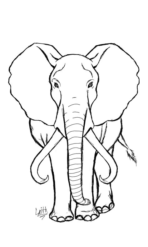 Kumpulan Gambar Sketsa Gajah Yang Mudah Digambar Anak