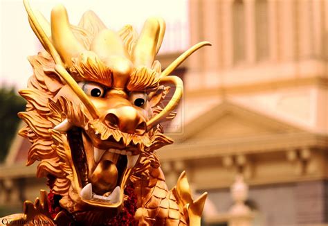 1364x768 Resolution Gold Colored Dragon Statue Chinese Dragon