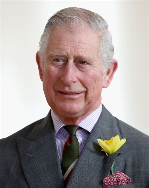 Prince Charles Prince Charles Photos The Prince Of