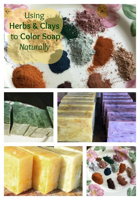 Popular natural plant soap of good quality and at affordable prices you can buy on aliexpress. How to Naturally Color Soap with Plants, Roots, and Clays ...