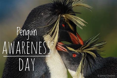 Happy Penguin Awareness Day