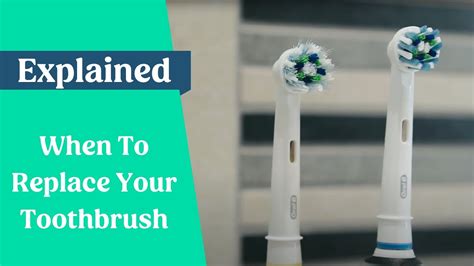 How Often To Replace Electric Toothbrush Maximaguterman