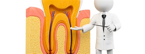 Enfermedades De La Pulpa Dental Causas Y Cómo Detectarlas