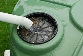 Herein, how many times do you have to water a cactus? Crunchy Goodness Urban Homesteading: 5 ways to turn your ...