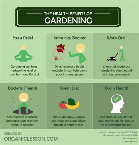 6 Surprising Health Benefits Of Gardening Benefits Of Gardening