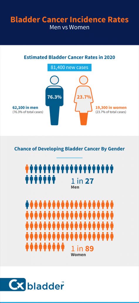Bladder Cancer Survival Rates Core Plastic Surgery