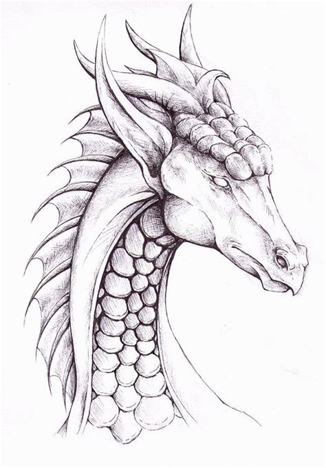 10 Dragon Dibujo Facil