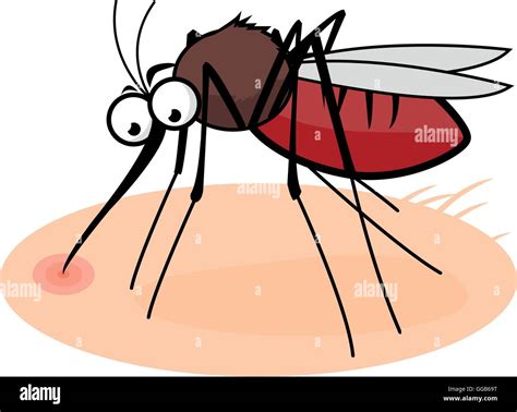 Cartoon Mosquito Sucking Blood Stock Vector Image And Art Alamy