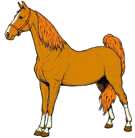 Pictures Of Horse For Kids K5 Worksheets
