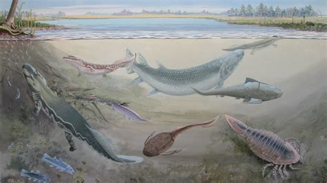 Late Devonian Fish The One Who Consumes Others Was 8 Feet Long