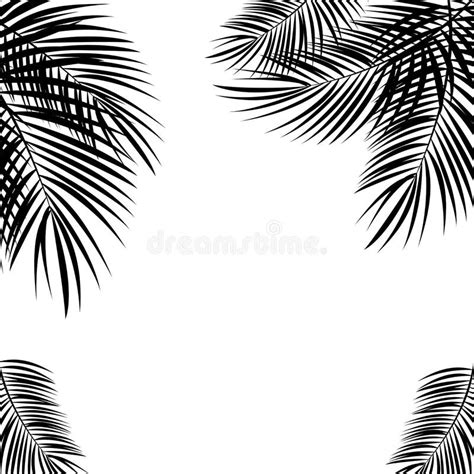 Zwart Palmblad Op Witte Achtergrond Vector Illustratie Vector